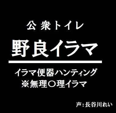 公衆トイレー野良イラマー