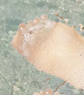 サイズフェチ告白したら