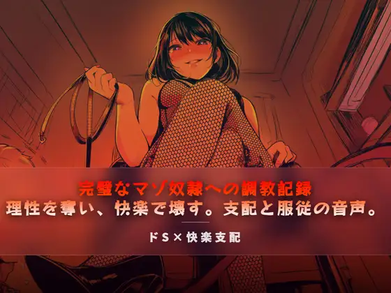 完璧なマゾ奴隷への調教記録