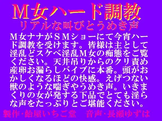 M女ハード調教・リアルな叫びとうめき声wav版