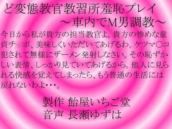 ど変態教官教習所羞恥プレイ～車内でM男調教～WAV版