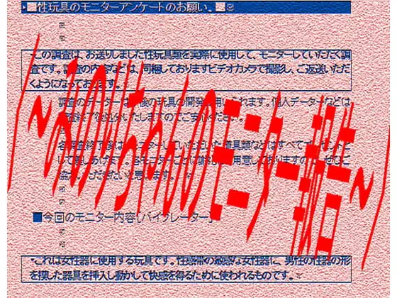 〈～みのりちゃんのモニター報告～〉