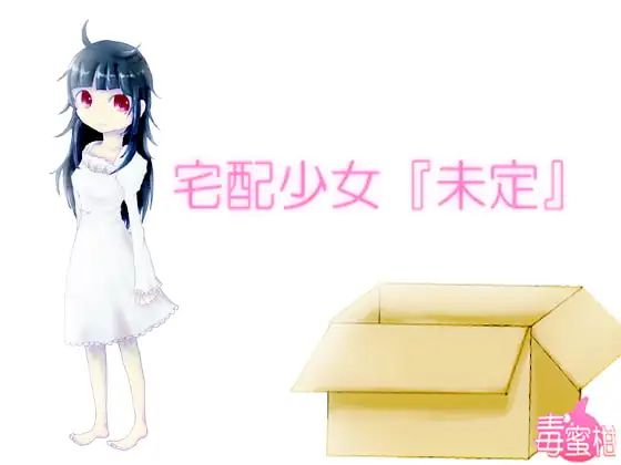 宅配少女『未定』