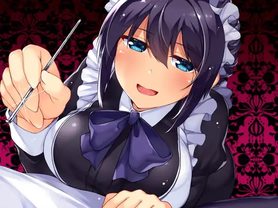 【必然】やっぱり、クール妻メイドのお仕置きご奉仕～本当は怖い耳かきプレイとかとかとか・・・M向け王道定石定番ご褒美!