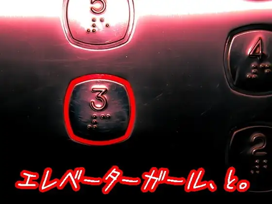 エレベーターガール、と。